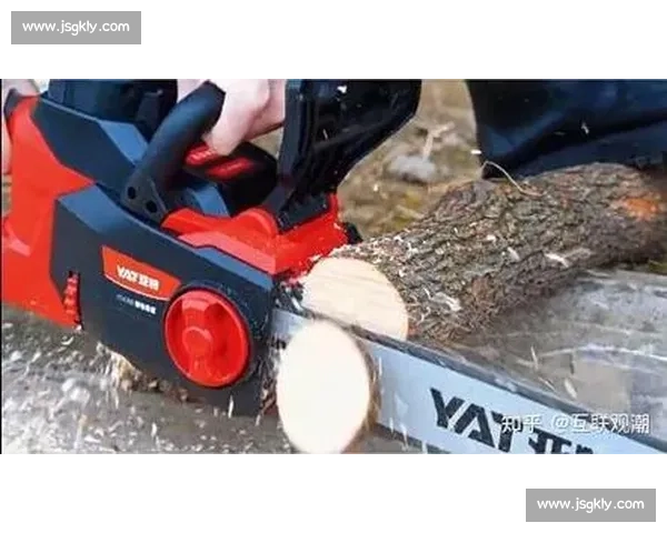 国外高效伐木:技术如何做到省时省力?