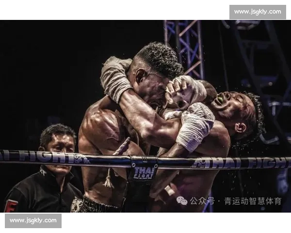 深入探讨VS泰拳的起源发展技法特色与国际影响力分析